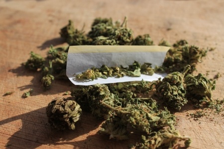 Cannabis - Harbor Village Cannabis image