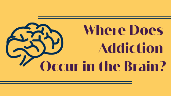 Addiction Affects on the Brain