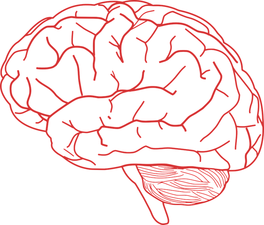 What are the Symptoms of a Stroke